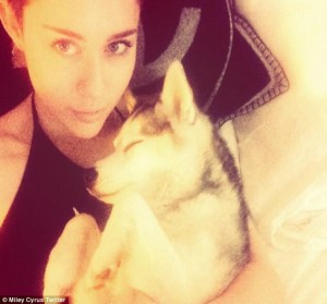 Miley Cyrus 